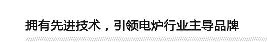 擁有先進技術，引領電爐行業主（zhǔ）導品牌